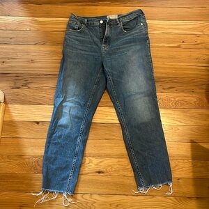 Everlane Cheeky Jeans